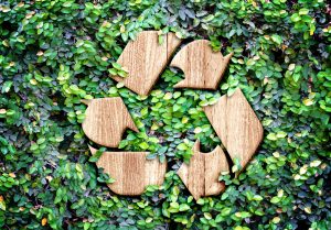 Eco-koncept:Trä textur återvinna ikonen på gröna blad vägg